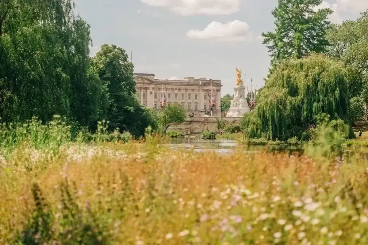 Bloomsbury neighbourhood guide