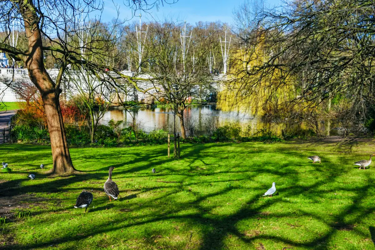 London on a Budget: How to Explore the City Without Breaking the Bank 10 St James's Park